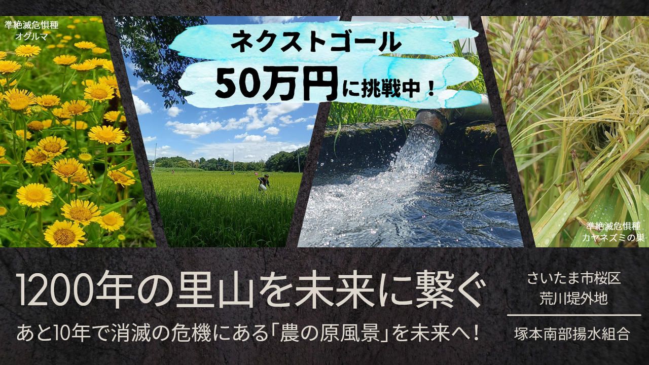 1200年続く田んぼがあと10年で消滅の危機。さいたま市が誇る里山「塚本郷」を未来に繋ぐ