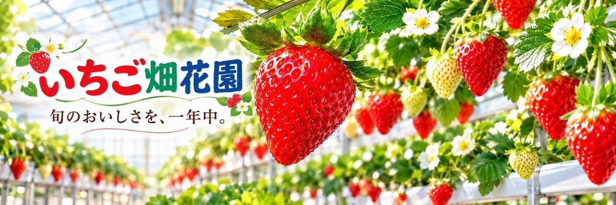 IBUSHIGIN公式ストア：【深谷発】埼玉県オリジナルいちご「あまりん」の魅力を広げるいちご農家