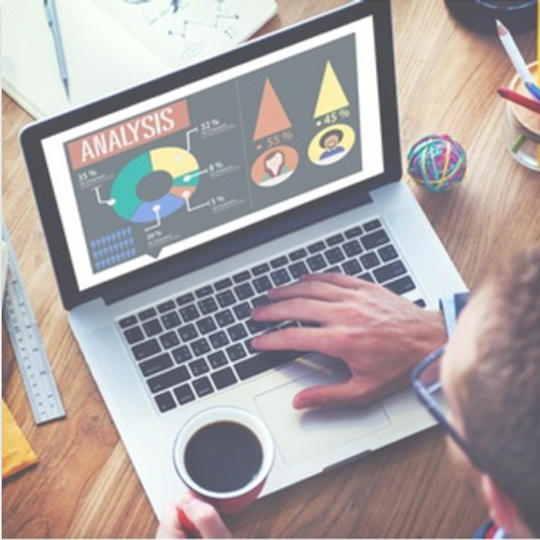 サービス分析・レポート作成（法人向け）