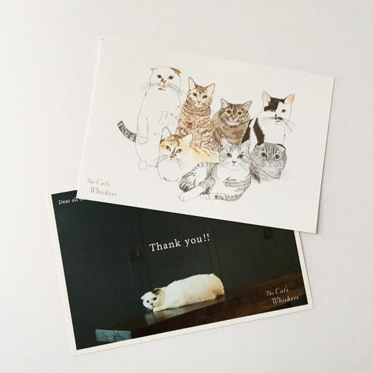 Cat's ISSUE応援チケット