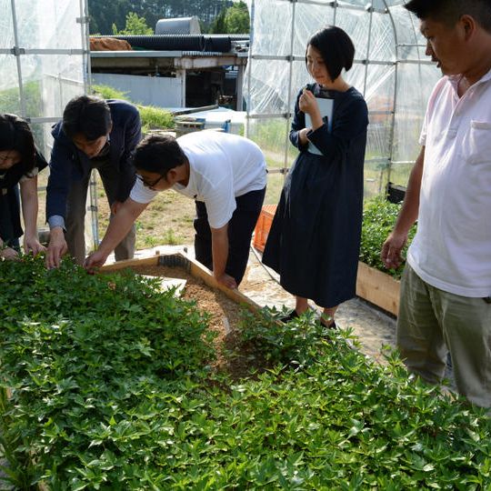 薬草と暮らしを営むセット