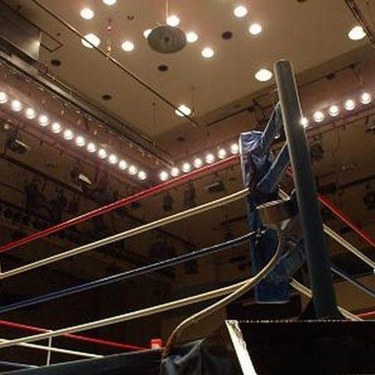 金網リングのポールに広告掲載（６ヶ月）