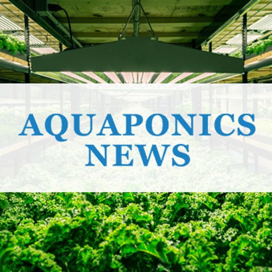 アクアポニックス専門情報サイト「AP NEWS」年間購読