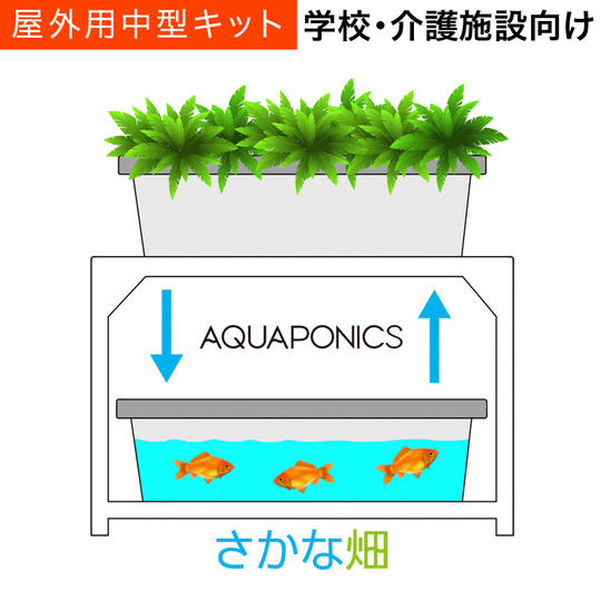 土作り、水やり、水替え不要のオーガニック菜園。さかな畑(屋外用中型)