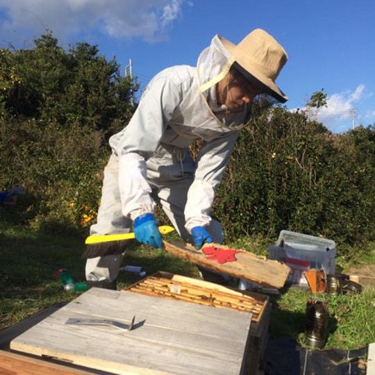 鎌倉蜂蜜120g　養蜂場見学&養蜂家体験(鎌倉内)