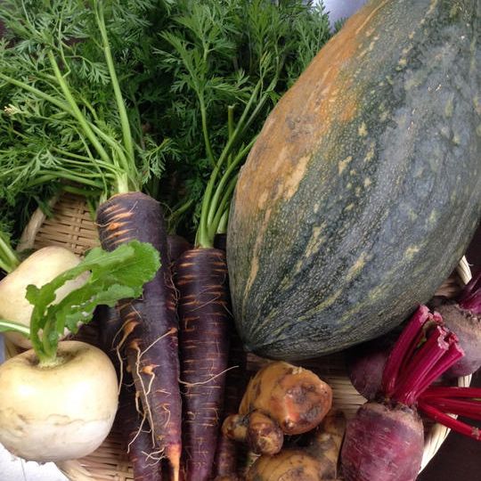 【740円お得】京丹波町産・自然栽培のお野菜のセット