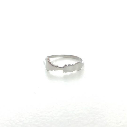 【5,400円お得】Premium Silver