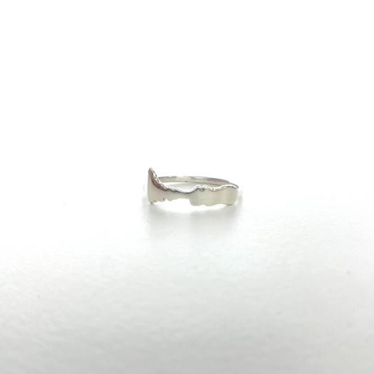 【21,600円お得】Platinum