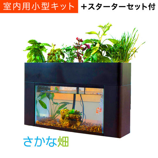 土作り、水やり、水替え不要のオーガニック菜園。さかな畑~アクアスプラウト~+スターターセット