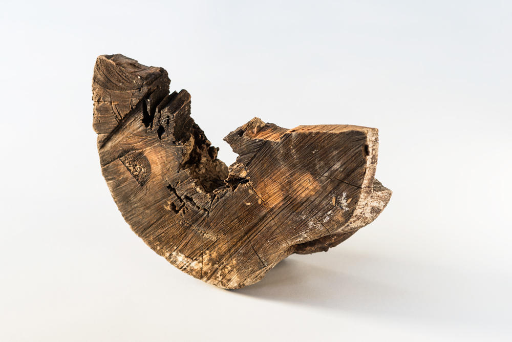 ✨希少一点物✨福井 守 作 木製オブジェクト 桜 ✨希少一点物✨福井 守 作 木製オブジェクト 桜 - メルカリ