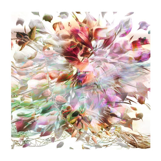 デジタル版画作品 Plant_es 9