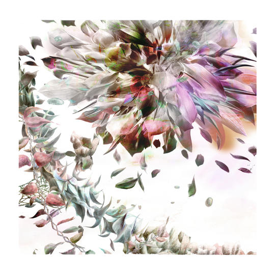 デジタル版画作品 Plant_es 6