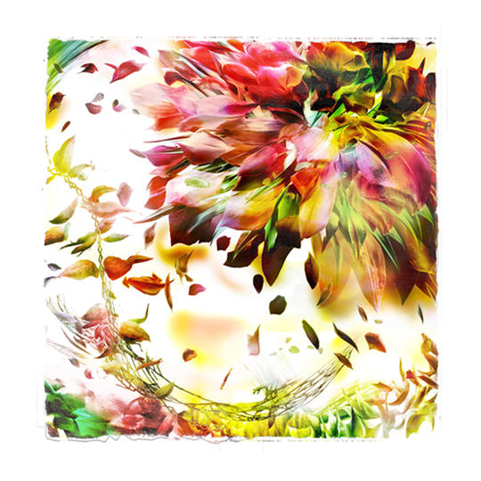 デジタル版画作品 Plant_zeal