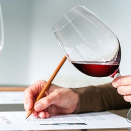 限定5枚！【レコール・デュ・ヴァン × NIKKEI STYLE共同企画】ビジネスワイン講座