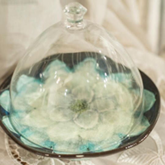  瀬戸の女流陶芸家 野村晃子　フラワードーム（小）、中野由紀子コラボ作品やきものワールドチケット3枚付き 