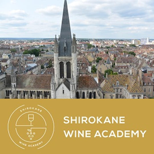 【11月5日】『飲めない』からこそ、レストランでスマートにふるまいたい