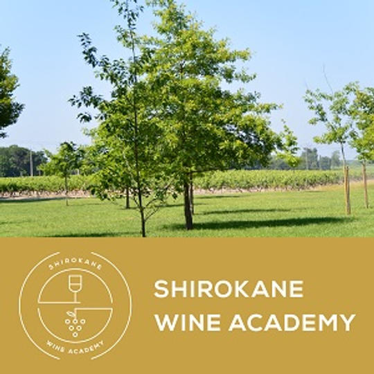 【11月11日】『飲めない』からこそ、楽しみたい!