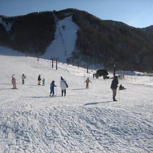 平湯温泉大滝山ジュニアアルペンスキー大会（大人リフト１日券）