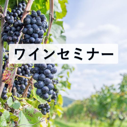 【追加】【5月26日15時30分 開催】