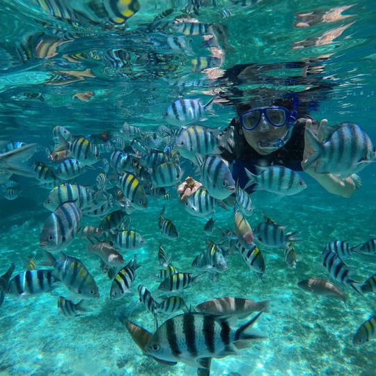 【3泊4日セブ旅行プレゼントセット】