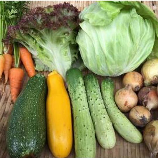 こだわり野菜とほたる荘の貸切利用権