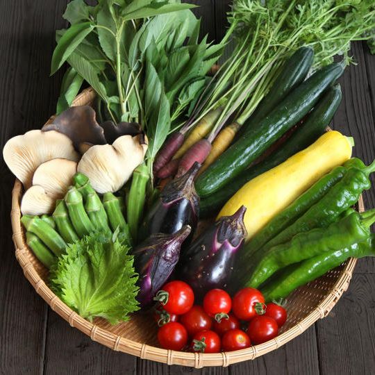 おいしく食べて河北町を応援したい！ランチ⾷事券