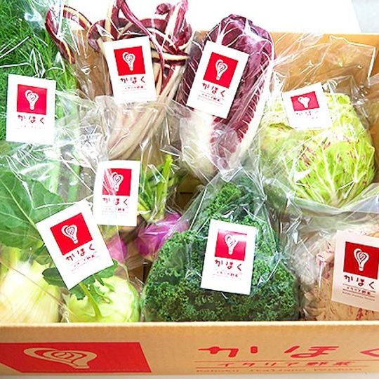 一流シェフも注目！ 豊かな自然の中で丁寧に育てられた かほくイタリア野菜定期便セット（５回コース）
