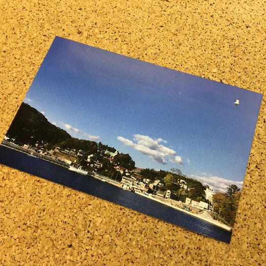 お礼のポストカード（1枚）