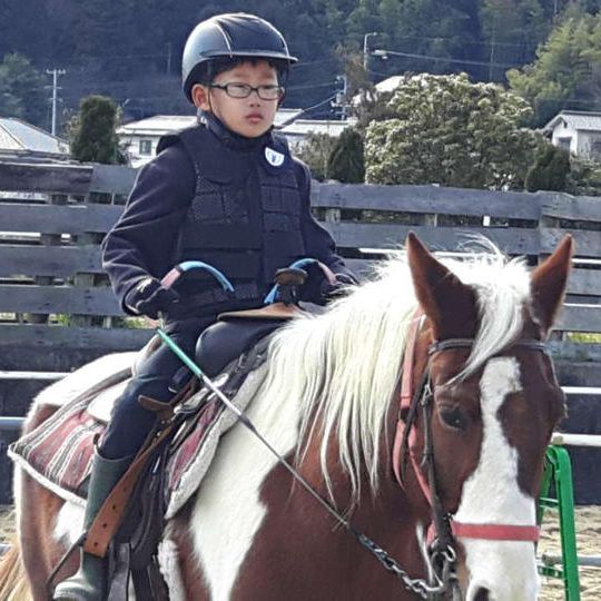 乗馬体験60分チケット3枚