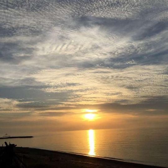 ホースセラピー施設見学を入れた観光ツアー旅行券と乗馬体験60分1年間無料