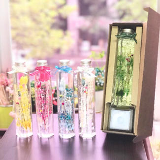 ６面カットボトルセット