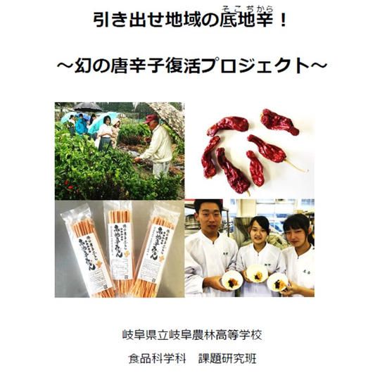 御礼メールとプロジェクト資料（デジタル）の送付
