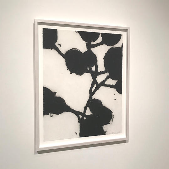 carborundum:カーボランダム 1点