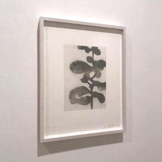 aquatint:アクアチント 1点