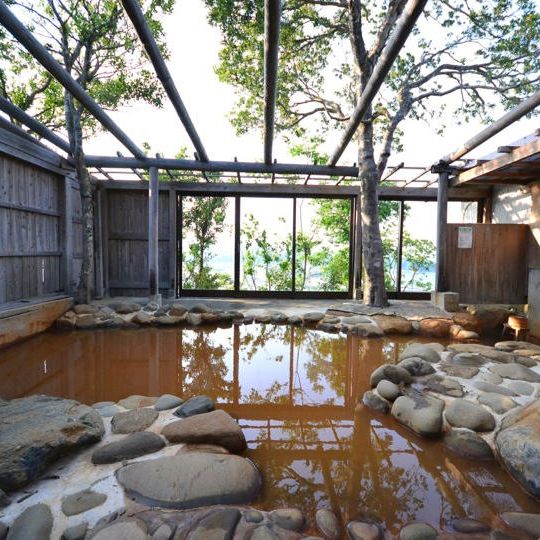 日帰り温泉宿泊チケット☆年間フリーチケット☆