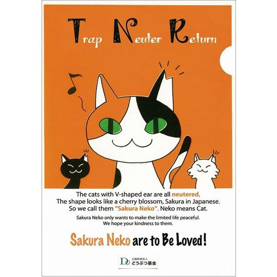 【どうぶつ基金も応援Aコース】どうぶつ基金TNRクリアファイル1枚・猫ちゃんシール付きお礼のお手紙