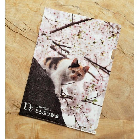 【どうぶつ基金も応援Bコース】どうぶつ基金さくらねこクリアファイル1枚・猫ちゃんシール付きお礼のお手紙