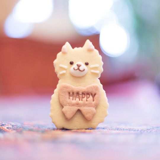 【クッキーで応援コース】卵不使用クッキー3枚セット・猫ちゃんシール付きお礼のお手紙