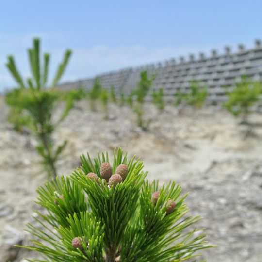 【B】受領書あり/1口500円コース