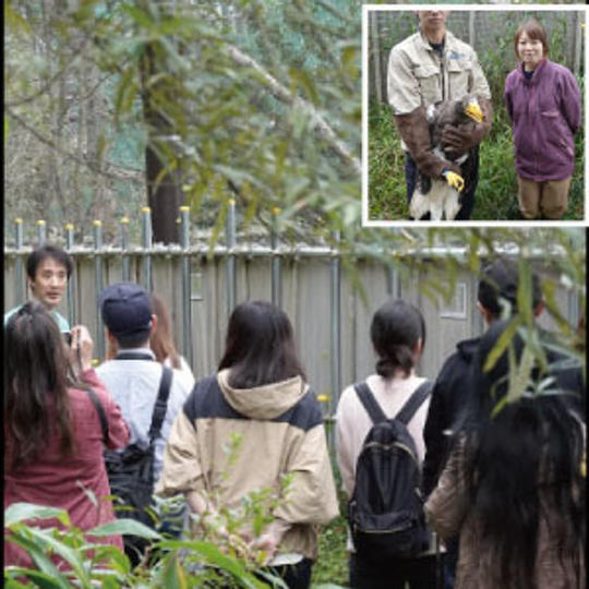 御礼メール、ワイルドライフセンターでの特別バックヤードツアーご招待＆オオワシ、オジロワシ終生飼育個体との記念撮影