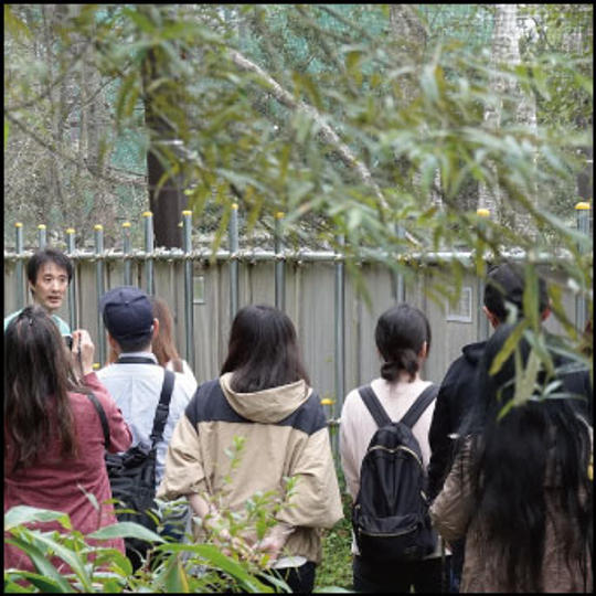 御礼メール、ワイルドライフセンターでの特別バックヤードツアー