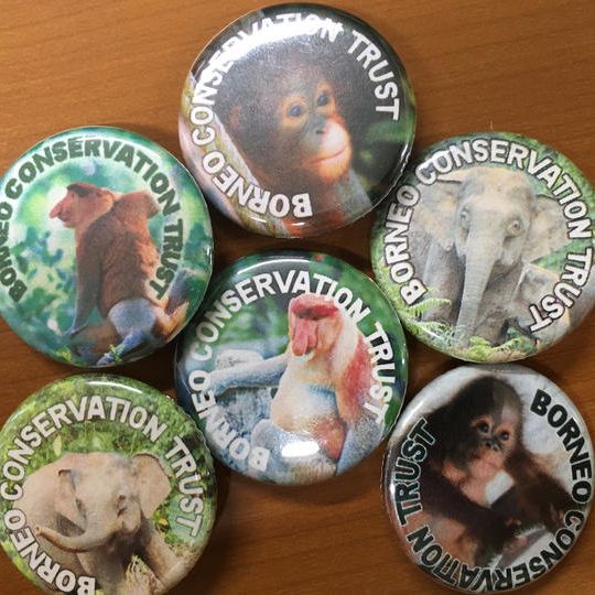 感謝レター&オリジナルカンバッジセット