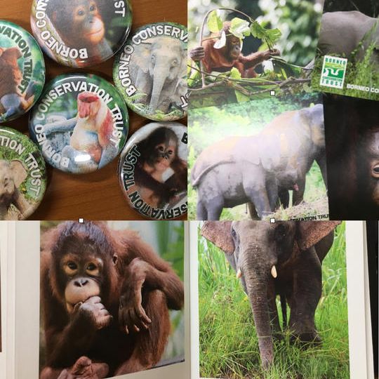 感謝レター&チャリティカンバッジ、特製ポストカード、限定フォトブック