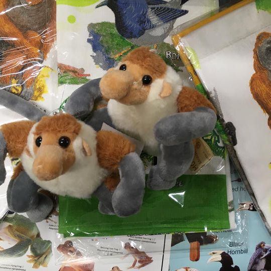 感謝レター&限定フォトブック、サバ州のお土産