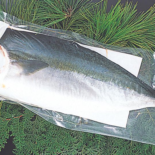  熊本県産うまかぶりフィレ　１枚入り（約1.2～1.4kg）