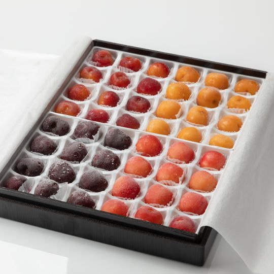 【限定20セット】冷凍さくらんぼスペシャル4種 48粒セット