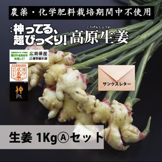 生姜1Kg(A)セット