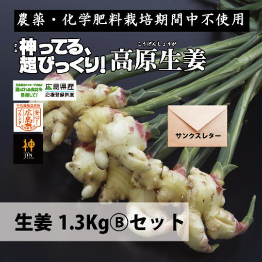 生姜1.3Kg (B) セット