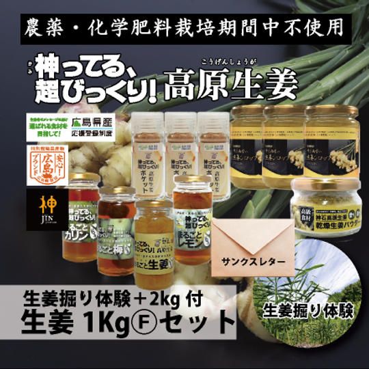 生姜掘り体験+2Kg付き　生姜1Kg (F) セット