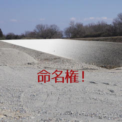 ジャンプ台命名権